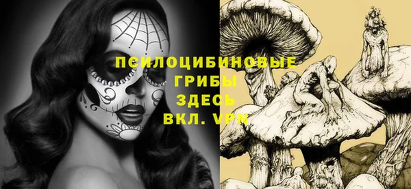 стаф Балахна