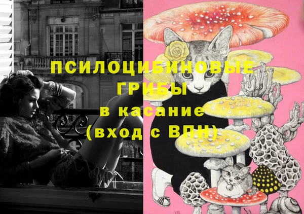 а пвп мука Баксан