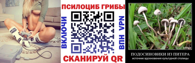 цена   Подпорожье  Галлюциногенные грибы MAGIC MUSHROOMS 